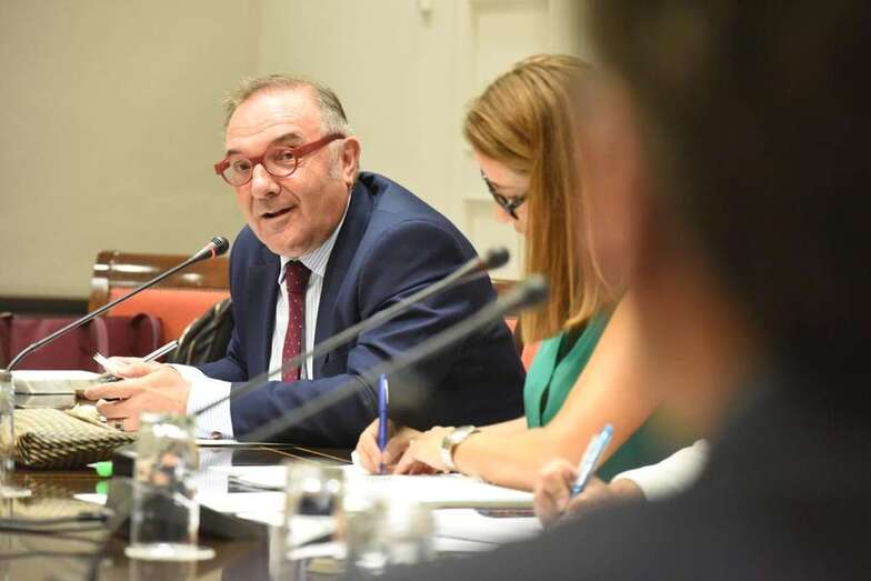 El consejero Baltar, en una comisión parlamentaria (Foto TA)